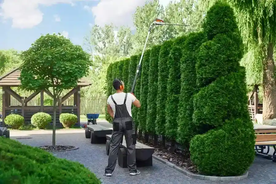 Reliable Hedge Trimming Garland, TX Reliable Hedge Trimming Garland, TX